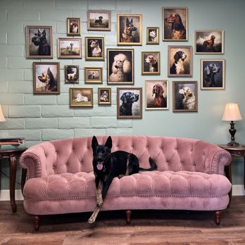 Le Pawsh - Looking great on the throne. 2/28/25 - Pet Groomers Near Me - Fremont, California Le Pawsh - Looking great on the throne. 2/28/25 - Pet Groomers Near Me - Fremont, California