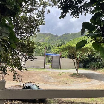 Kualoa Ranch - Tours Near Me - Kaneohe, Hawaii Kualoa Ranch - Tours Near Me - Kaneohe, Hawaii