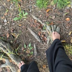 Hickory Park - Get to grounded - trees give off energy!