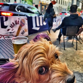Bonner's Irish Pub - Outside seating is perfect for beer and puppy watching. - Irish Pub Near Me - Philadelphia, Pennsylvania