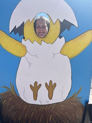 Cackle Hatchery® by null