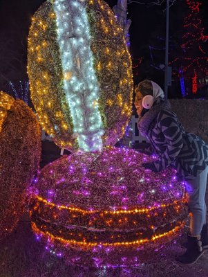 Odyssey Fun World by null