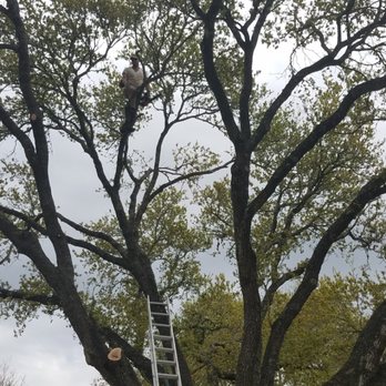 Koehne's Tree Service - Another pose - Tree Services Near Me Koehne's Tree Service - Another pose - Tree Services Near Me