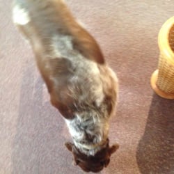 They have furry associates ;)
