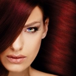 Shumai -Chi The Skin Studio - Organic Hair Color Shumai-Chi The Skin Studio