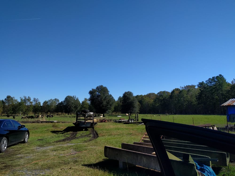 Cordray Farms - taxidermy in Ravenel, SC