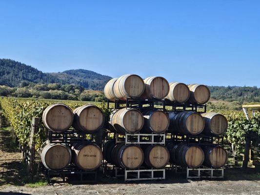 Unti Vineyards by null