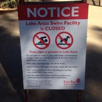 Lake Anza - Lake is closed - Lakes Near Me - Berkeley, California