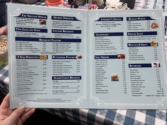 Skyland Family Restaurant by null