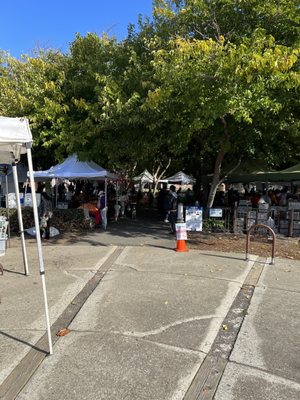Union City Farmers' Market by null