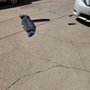 Photo of Laramie Collision Repair