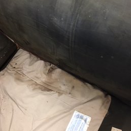 This is real rodent urine and defecation. This is real rodent urine and defecation.