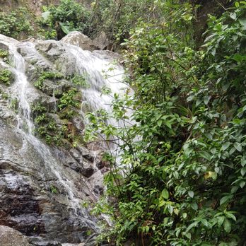 Rocaliza Adventure Tours - Small waterfall - Rock Climbing Near Me Rocaliza Adventure Tours - Small waterfall - Rock Climbing Near Me
