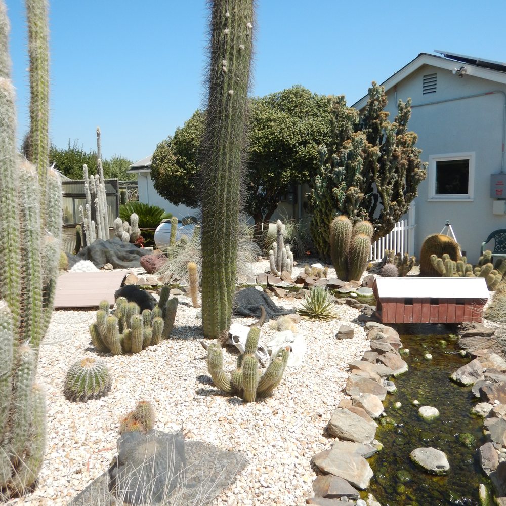 Poot's Cactus Nursery - Nurseries & Gardening Near Me - Ripon, California Poot's Cactus Nursery - Nurseries & Gardening Near Me - Ripon, California