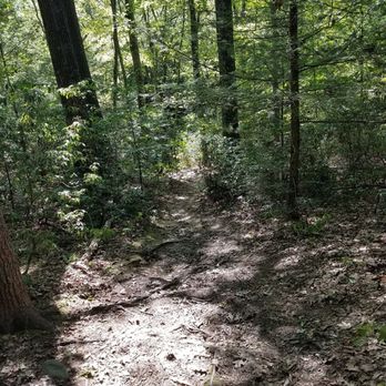 Enders State Forest - The path down to the gorge - Parks Near Me - Granby, Connecticut Enders State Forest - The path down to the gorge - Parks Near Me - Granby, Connecticut