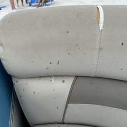 Safe Harbor Calusa Island - Mold on seats