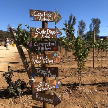 MS Tours - Wine Tours Near Me - Rosarito, BCN