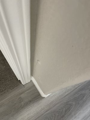 Richmond American Homes-Home Gallery