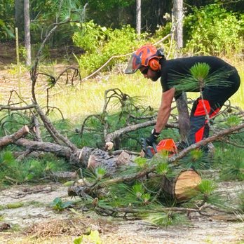 Plantation Grown Timbers ミラー Real Portable Sawmill Video | Frontier, Woodland Mills, Wood