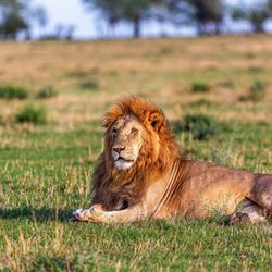 Tanzania Outdoor Adventures, LLC