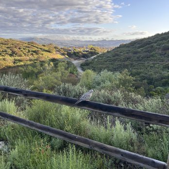 South Lake Park - Gorgeous morning - Parks Near Me - San Marcos, California South Lake Park - Gorgeous morning - Parks Near Me - San Marcos, California
