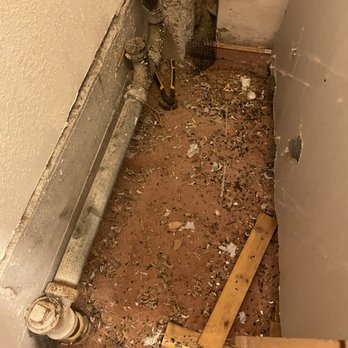 Rat Magic - Rat infestation - Pest Control Near Me Rat Magic - Rat infestation - Pest Control Near Me
