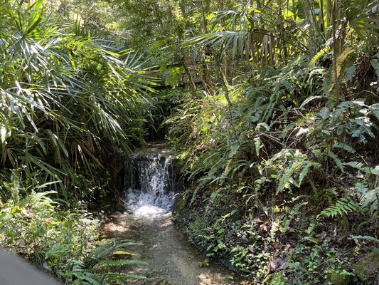 Rainbow Springs State Park by null