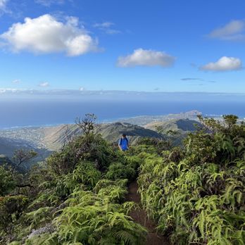 Wiliwilinui Ridge Trail - Hiking Near Me Wiliwilinui Ridge Trail - Hiking Near Me