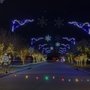 Photo of Magic of Lights