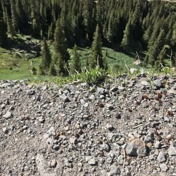 Alpine Scenic 4X4 Tours - Tours Near Me - Ouray, Colorado Alpine Scenic 4X4 Tours - Tours Near Me - Ouray, Colorado