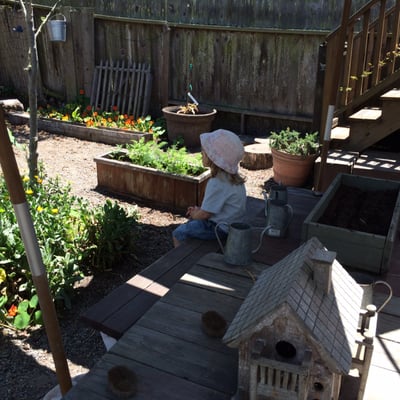 Children's Sunflower House & Garden by null