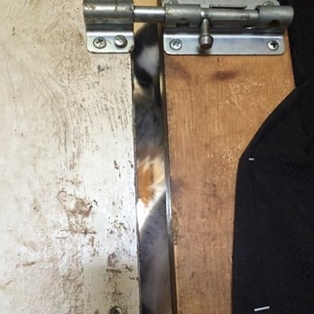 Zootastic Park - This was the only latch on this door. No lock. The lemurs did not have access to the outdoors or fresh air. - Zoos Near Me - Troutman, North Carolina Zootastic Park - This was the only latch on this door. No lock. The lemurs did not have access to the outdoors or fresh air. - Zoos Near Me - Troutman, North Carolina