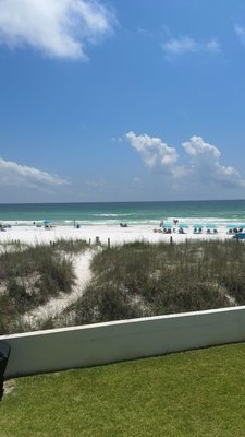 Alicia J Hollis, Realtor