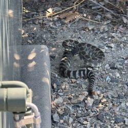 Ladera Ranch Bench Trail - It's officially snake season