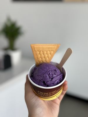 Dang Good Ice Cream by null
