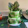 Photo of Couture Cakes of Greenville