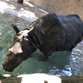 LOS ANGELES ZOO AND BOTANICAL GARDEN - Updated May 2025 - 7753 Photos ...