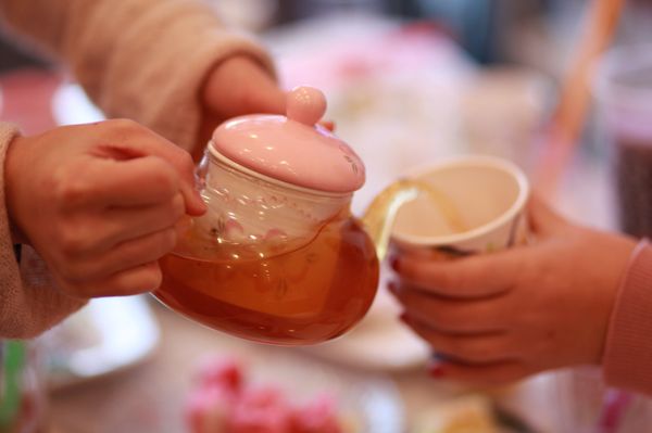 Sweet Cats Cafe by null