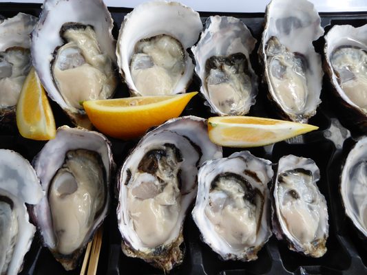 Melshell Oyster Shack by null