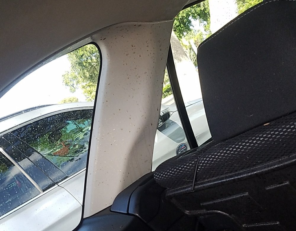 SUPERWASH EXPRESS Updated September 2024 18 Photos & 49 Reviews