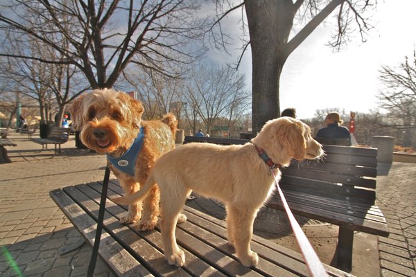 The Forks National Historic Site by null
