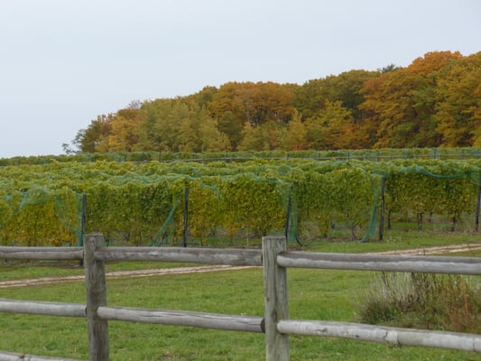 Black Star Farms Old Mission by null