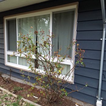 Reglaze Window & Installations - New large window installed. It looks great and was installed well. - Windows Installation Near Me - Seattle, Washington Reglaze Window & Installations - New large window installed. It looks great and was installed well. - Windows Installation Near Me - Seattle, Washington