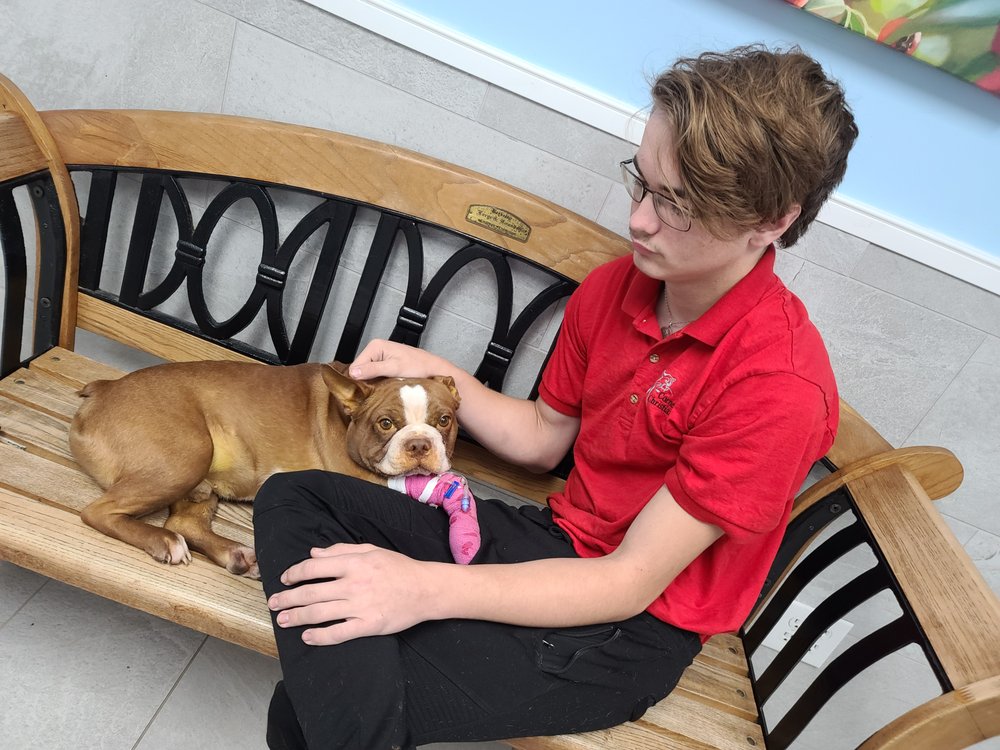 VET I CARE Updated September 2024 20 Reviews 10635 Old St