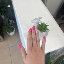 Ocean Nail and Spa