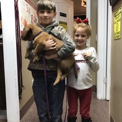 Florence Animal Clinic - Cuteness overload!