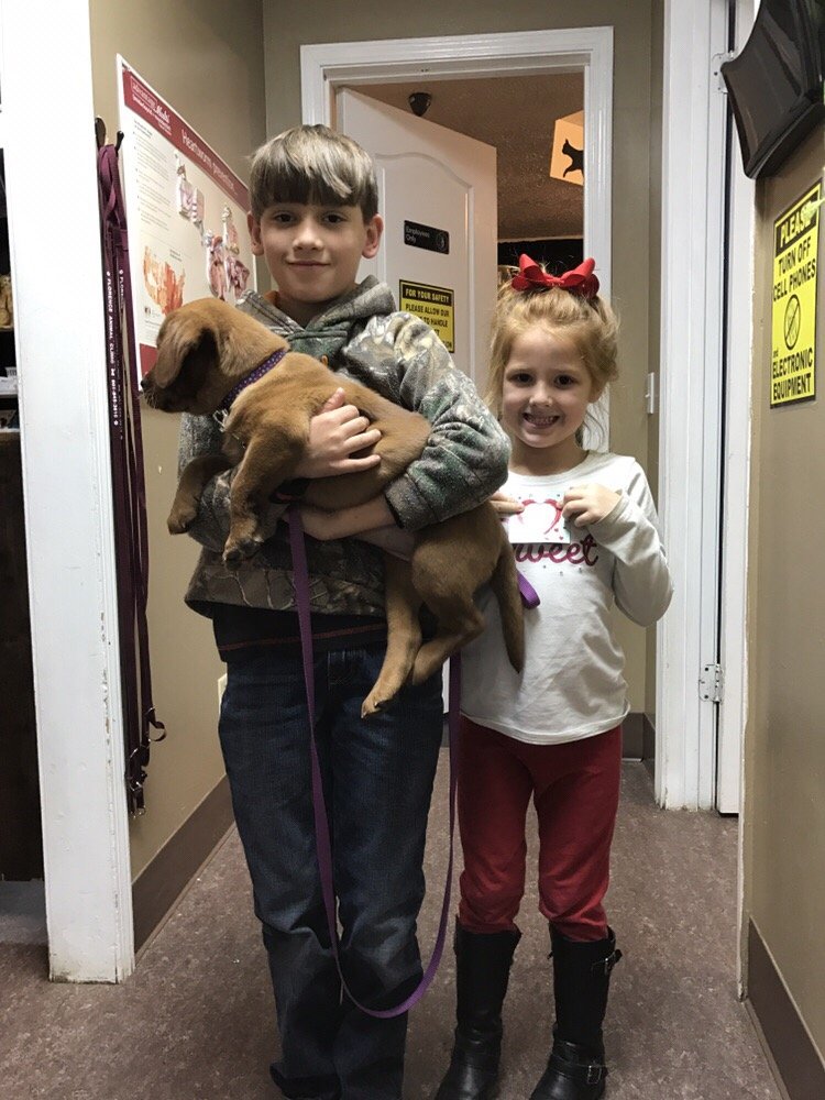 Florence Animal Clinic - pet boarding facility in Florence, MS