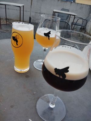 Propolis Brewing by null
