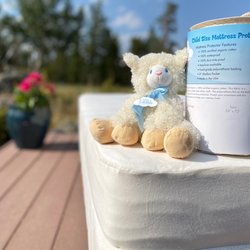Suite Sleep - Little Lamb Organic Cotton Waterproof Protector.