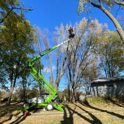 Victory Tree Service - Ash removal with lift
